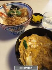 ブログランキング・にほんブログ村へ