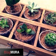 ブログランキング・にほんブログ村へ