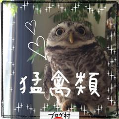 ブログランキング・にほんブログ村へ