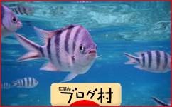 フィリピン留学 セブイチ セブ島留学調査隊