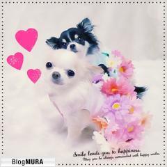 ブログランキング・にほんブログ村へ