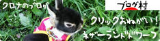 にほんブログ村 うさぎブログ ネザーランドドワーフへ