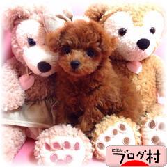 ブログランキング・にほんブログ村へ