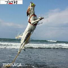 ブログランキング・にほんブログ村へ