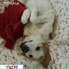 ブログランキング・にほんブログ村へ