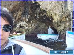 ブログランキング・にほんブログ村へ