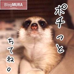 ブログランキング・にほんブログ村へ