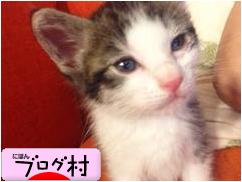 アメリカ持ち込み禁止品について La在住プライベートジェットca Hannabanana