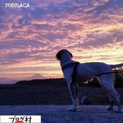 ブログランキング・にほんブログ村へ