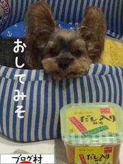 ブログランキング・にほんブログ村へ