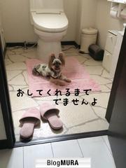 ブログランキング・にほんブログ村へ