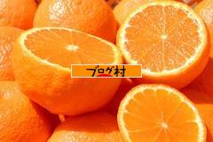 ブログランキング・にほんブログ村へ