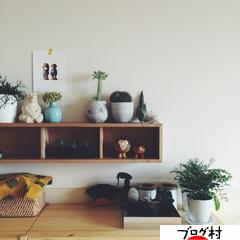 ブログランキング・にほんブログ村へ