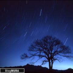 ブログランキング・にほんブログ村へ