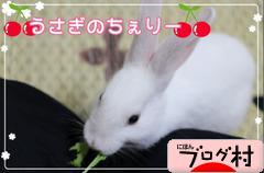 ブログランキング・にほんブログ村へ