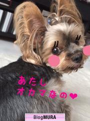 ブログランキング・にほんブログ村へ