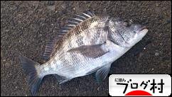 ブログランキング・にほんブログ村へ