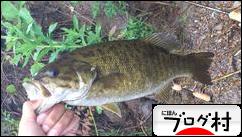 ブログランキング・にほんブログ村へ