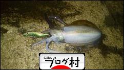 ブログランキング・にほんブログ村へ