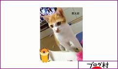 ブログランキング・にほんブログ村へ