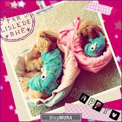 ブログランキング・にほんブログ村へ