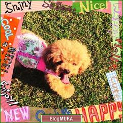 ブログランキング・にほんブログ村へ