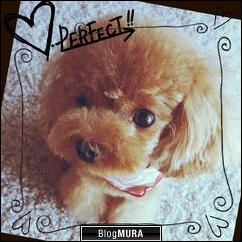 ブログランキング・にほんブログ村へ