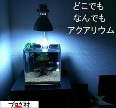 ブログランキング・にほんブログ村へ