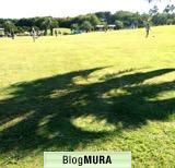 ブログランキング・にほんブログ村へ