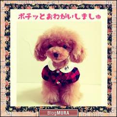 ブログランキング・にほんブログ村へ