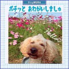 ブログランキング・にほんブログ村へ