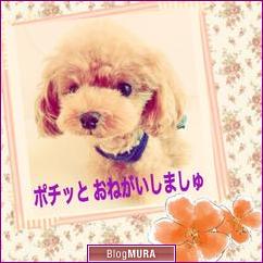 ブログランキング・にほんブログ村へ