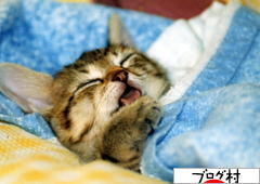 ブログランキング・にほんブログ村へ