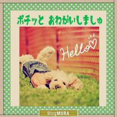 ブログランキング・にほんブログ村へ