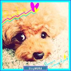 ブログランキング・にほんブログ村へ