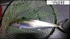 ブログランキング・にほんブログ村へ