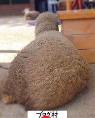 ブログランキング・にほんブログ村へ