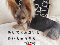 ブログランキング・にほんブログ村へ