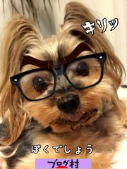 ブログランキング・にほんブログ村へ