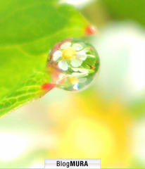 ブログランキング・にほんブログ村へ