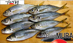 ブログランキング・にほんブログ村へ