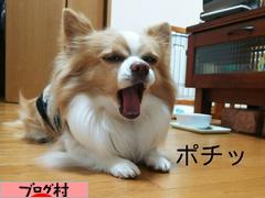 ブログランキング・にほんブログ村へ
