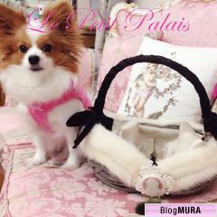 ブログランキング・にほんブログ村へ