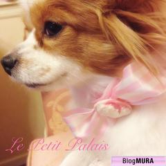 ブログランキング・にほんブログ村へ