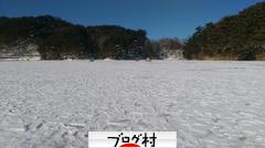 ブログランキング・にほんブログ村へ