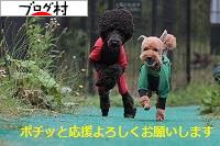 ブログランキング・にほんブログ村へ