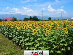 ブログランキング・にほんブログ村へ