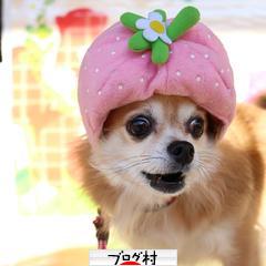 ブログランキング・にほんブログ村へ