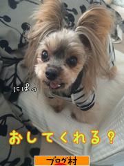 ブログランキング・にほんブログ村へ