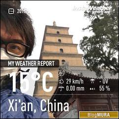 ブログランキング・にほんブログ村へ